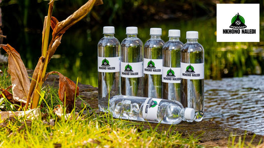 Nkhono Naledi Alkaline Water